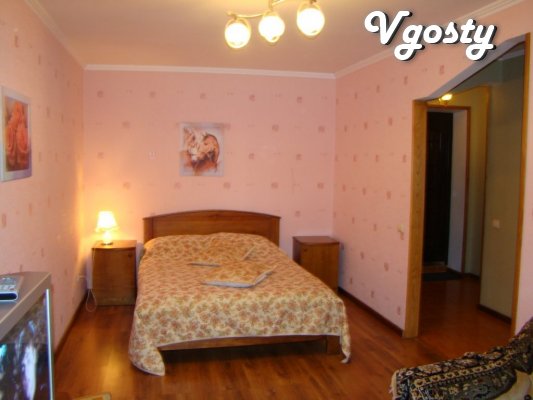 Excellent apartments in the center - Apartments for daily rent from owners - Vgosty