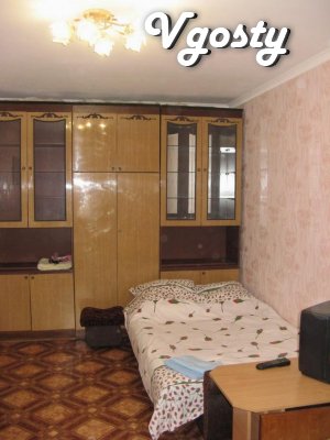 Apartment in the center. Economy - Apartments for daily rent from owners - Vgosty
