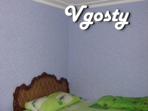 Cozy apartment in the center of Kremenchug - Apartments for daily rent from owners - Vgosty