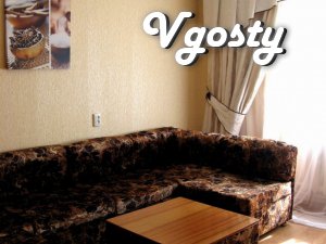 Cozy, warm apartment in the center of Kremenchug 1 - Apartments for daily rent from owners - Vgosty