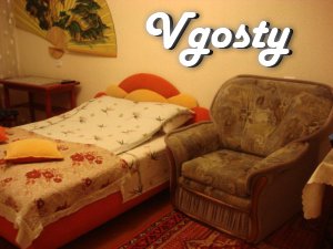 1 bedroom apartment in the city center - Apartments for daily rent from owners - Vgosty