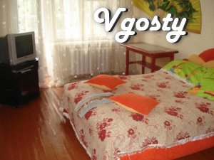 1 bedroom apartment in the city center - Apartments for daily rent from owners - Vgosty