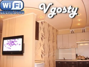 Luxury 2 bedroom apartment in Kremenchug - Apartments for daily rent from owners - Vgosty