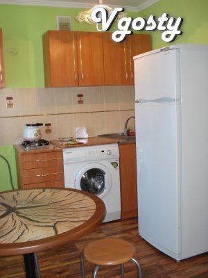Excellent studio apartment, modern renovation in 2010, - Apartments for daily rent from owners - Vgosty