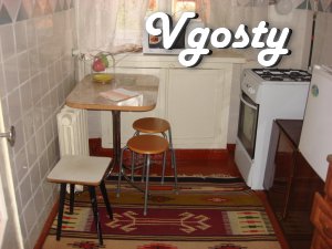 The apartment in the city center, 1st floor, near the main street - Apartments for daily rent from owners - Vgosty