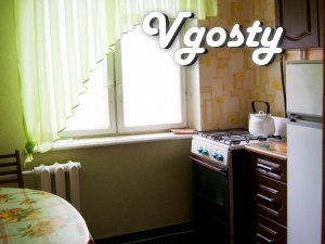 Cozy apartment in the center (Sotsgorod) - Apartments for daily rent from owners - Vgosty