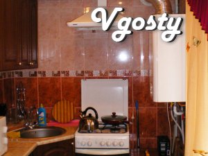 2- bedroom . evrokvartira with avtonomkoy - Apartments for daily rent from owners - Vgosty