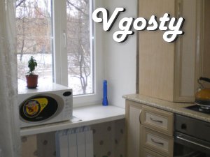2-bedroom apartment in the center - Apartments for daily rent from owners - Vgosty