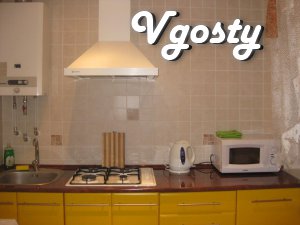 In the center of 1-room apartment, renovated, built-in - Apartments for daily rent from owners - Vgosty