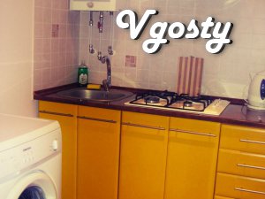 In the center of 1-room apartment, renovated, built-in - Apartments for daily rent from owners - Vgosty
