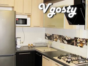 Rent apartments 1 room. luxury in the city center - Apartments for daily rent from owners - Vgosty