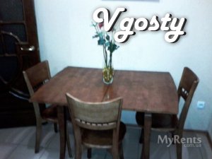 Posutochon 3 BR. evrokvartira in the center of the city. - Apartments for daily rent from owners - Vgosty