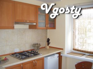 The apartment is renovated apartments in the city center. Along - Apartments for daily rent from owners - Vgosty
