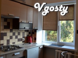 VIP-apartment 5min.do center - Apartments for daily rent from owners - Vgosty