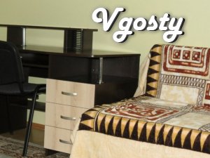 Apartment in Lutsk (there is WI-FI) - Apartments for daily rent from owners - Vgosty