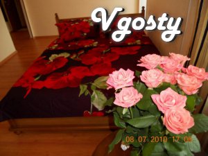 Apartment in the center of Lutsk rent - Apartments for daily rent from owners - Vgosty