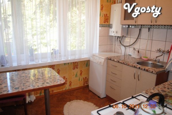 Cosy, comfortable apartment in the city center. Fresh - Apartments for daily rent from owners - Vgosty