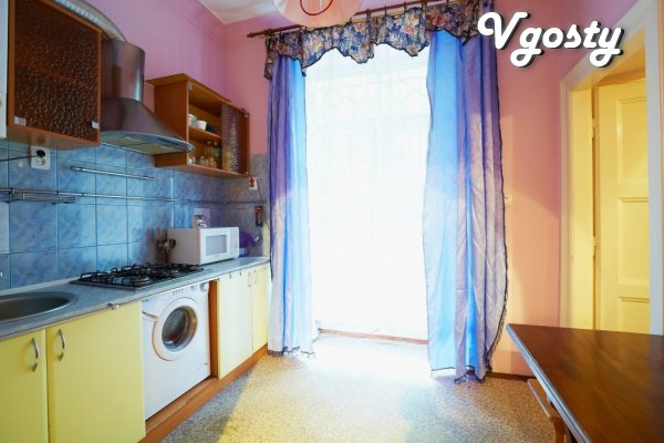 Cozy studio 4 mestnaya.Tsentr - Apartments for daily rent from owners - Vgosty