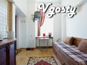 The apartment -studio st. Pekarskaya 38. center - Apartments for daily rent from owners - Vgosty