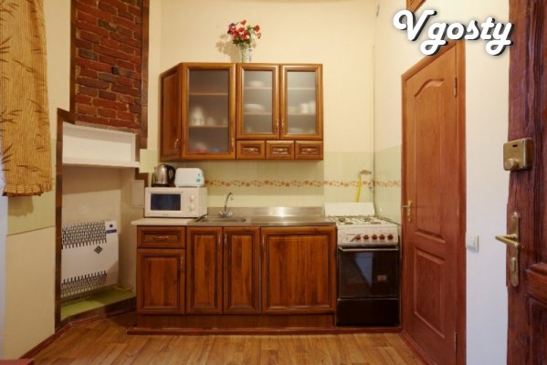 The center itself. Inexpensive. WiFi - Apartments for daily rent from owners - Vgosty