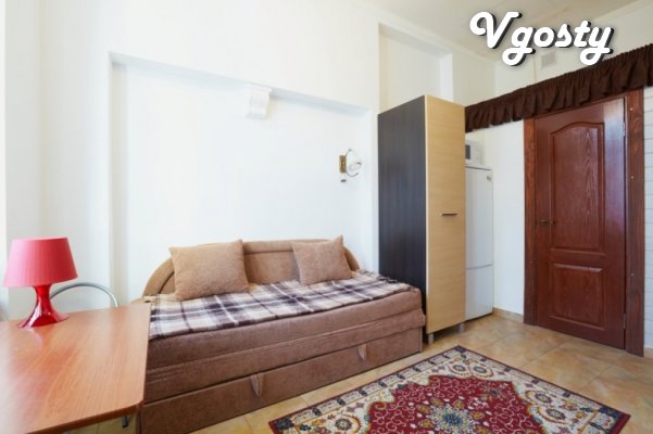 1-room apartment-studio in the center of the city (street area. - Apartments for daily rent from owners - Vgosty