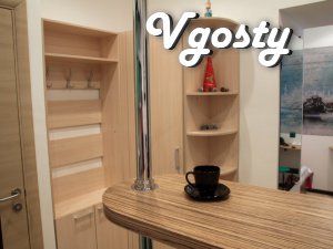 Modern apartment in the center of Lviv - Apartments for daily rent from owners - Vgosty