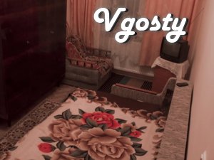 1 bedroom apartment in the center of Lviv - Apartments for daily rent from owners - Vgosty