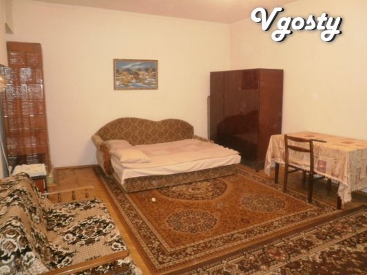 One bedroom apartment located in the heart of the city, - Apartments for daily rent from owners - Vgosty