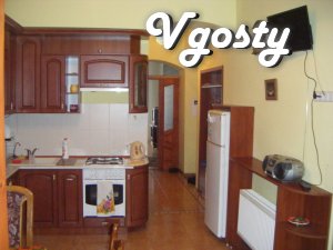 Cozy apartment center, near the station - Apartments for daily rent from owners - Vgosty