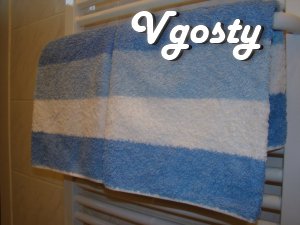 Comfortable apartment in the center - Apartments for daily rent from owners - Vgosty
