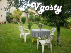 Apartment for rent Mukachevo - Apartments for daily rent from owners - Vgosty