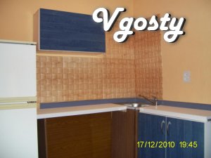 Economy version of the - Apartments for daily rent from owners - Vgosty