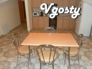 VIP-apartment in the center of Uzhgorod - Apartments for daily rent from owners - Vgosty