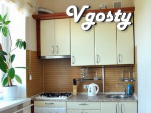 Nikolaev Apartment - Apartments for daily rent from owners - Vgosty