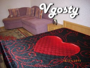 Stylish 2 to studio with an isolated bedroom - Apartments for daily rent from owners - Vgosty