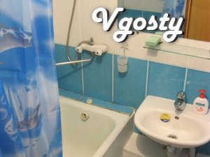 Apartment in the center (Lenin Ave / Dzerzhinsky str.) - Apartments for daily rent from owners - Vgosty