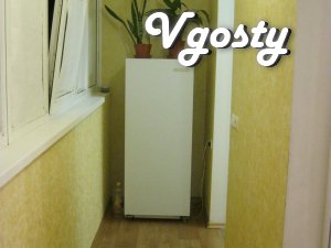 Apartment in the center (Lenin Ave / Dzerzhinsky str.) - Apartments for daily rent from owners - Vgosty