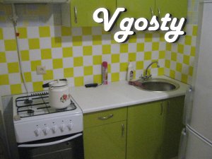 rent apartments 1 / k in the city center - Apartments for daily rent from owners - Vgosty