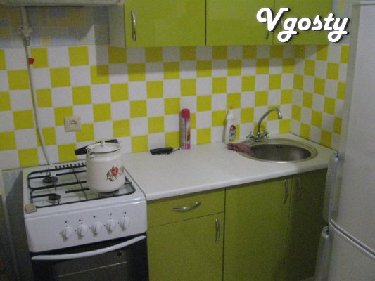 rent apartments 1 / k in the city center - Apartments for daily rent from owners - Vgosty
