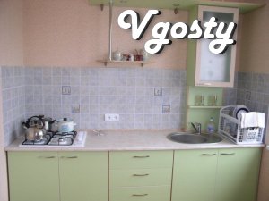 2-bedroom apartment with all facilities in the Central - Apartments for daily rent from owners - Vgosty