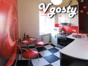 Daily 1-komn.kvart, ul.Admiralskaya - Apartments for daily rent from owners - Vgosty