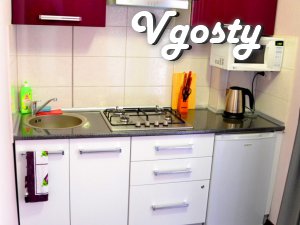 VIP апартаменты в самом центре. Комфорт и безопасность!!! - Apartments for daily rent from owners - Vgosty
