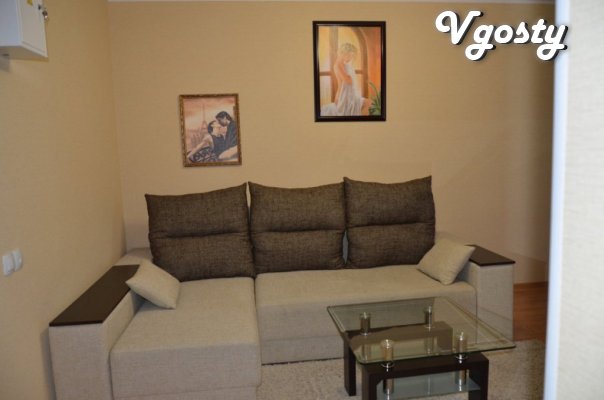 Cozy apartment in the very center of the city - Apartments for daily rent from owners - Vgosty