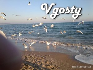 House for rent near the sea - Apartments for daily rent from owners - Vgosty