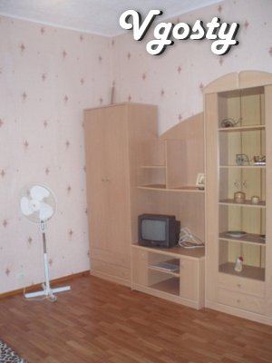 Dolphinarium - Shevchenko Park - Apartments for daily rent from owners - Vgosty