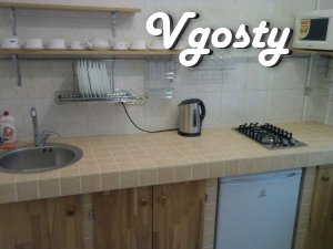 Downtown, WI-FI - Apartments for daily rent from owners - Vgosty