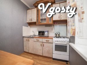 Spacious apartment in the center - Apartments for daily rent from owners - Vgosty