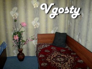 Apartment for rent near the Central Market - Apartments for daily rent from owners - Vgosty