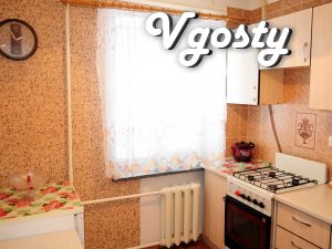 Centre. One room. Brooklyn - Apartments for daily rent from owners - Vgosty