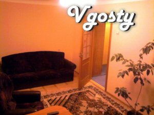 One bedroom apartment near the center - Apartments for daily rent from owners - Vgosty